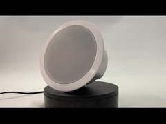 اسپیکر سقفی IP POE FIP-906